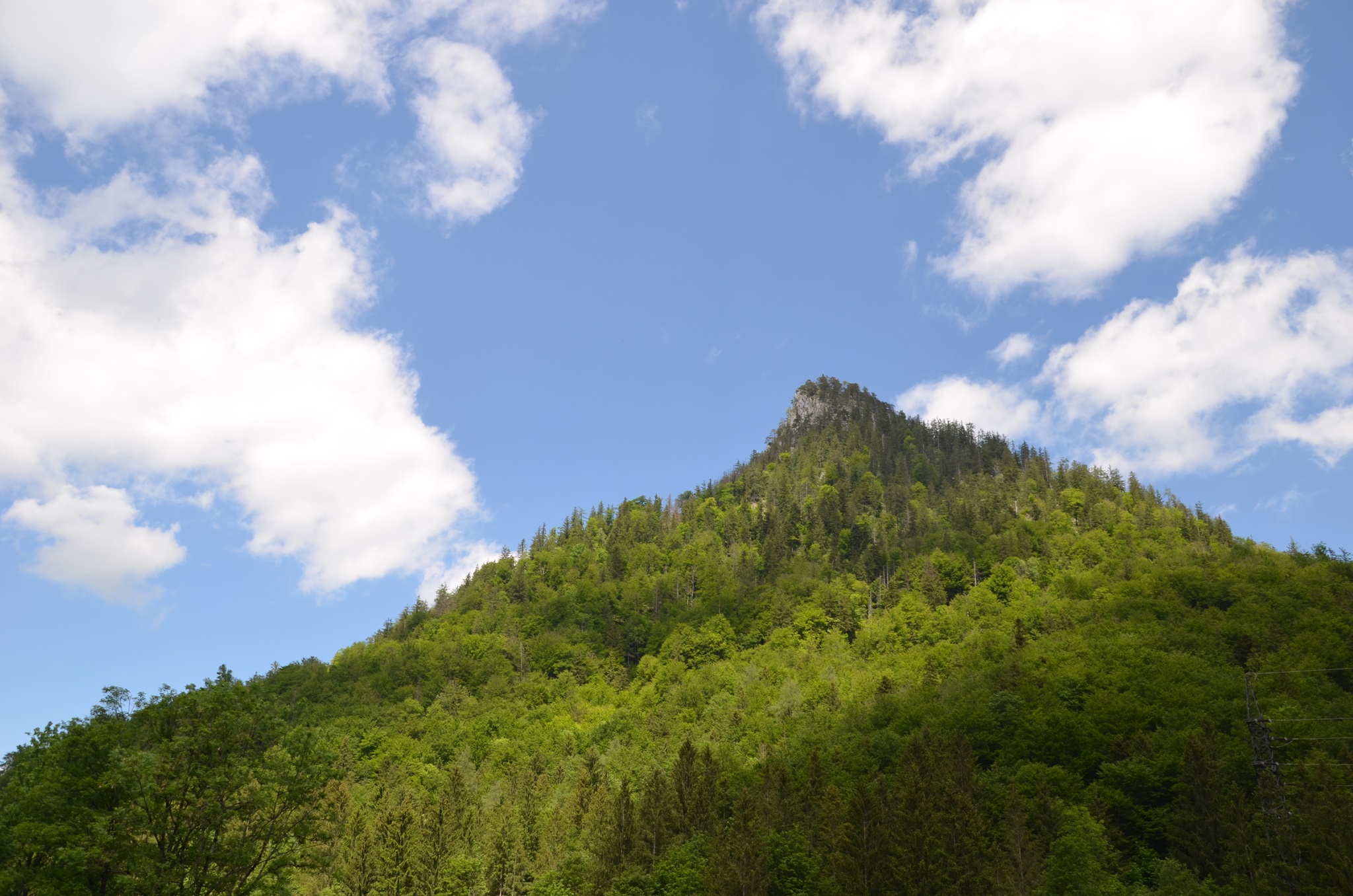 Kraftort Falkenstein bei Inzell